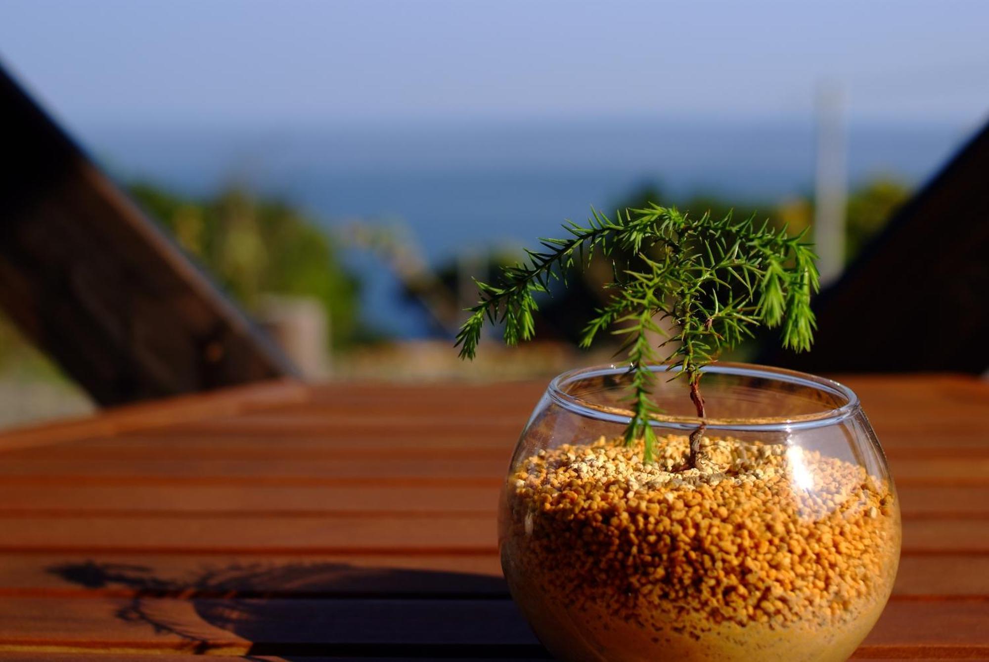 Yakushima Cottage Morino Fairy All Cotage With Open-Air Bath Zimmer foto