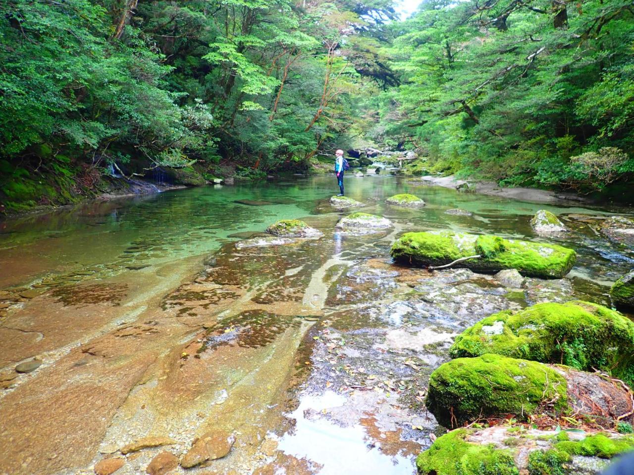 Yakushima Cottage Morino Fairy All Cotage With Open-Air Bath Exterior foto