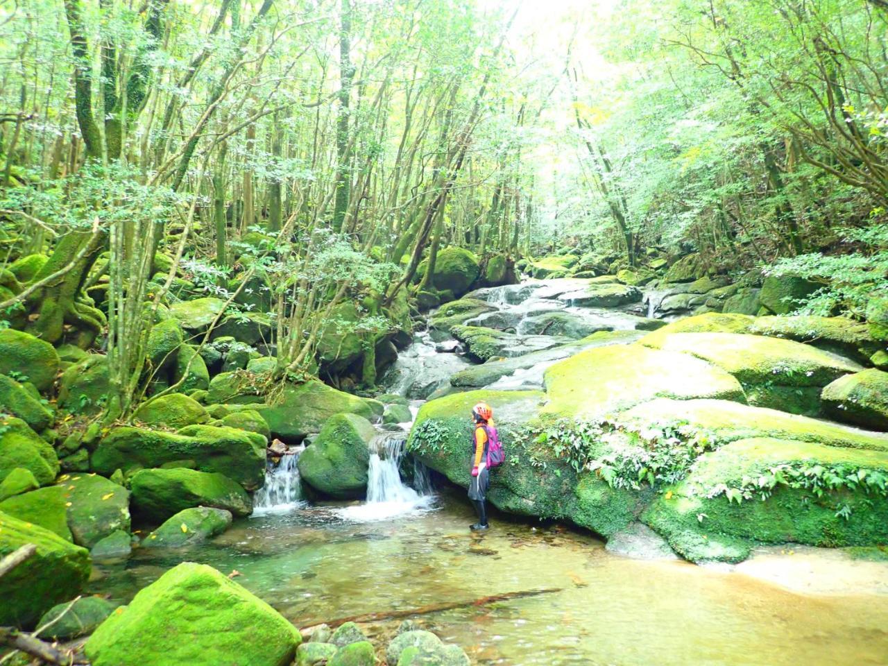 Yakushima Cottage Morino Fairy All Cotage With Open-Air Bath Exterior foto